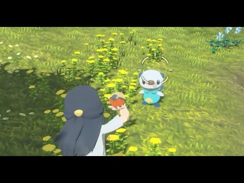 初めてのミジュマルに興奮する系ゲーム実況者【Pokémon LEGENDS アルセウス】【#shorts】