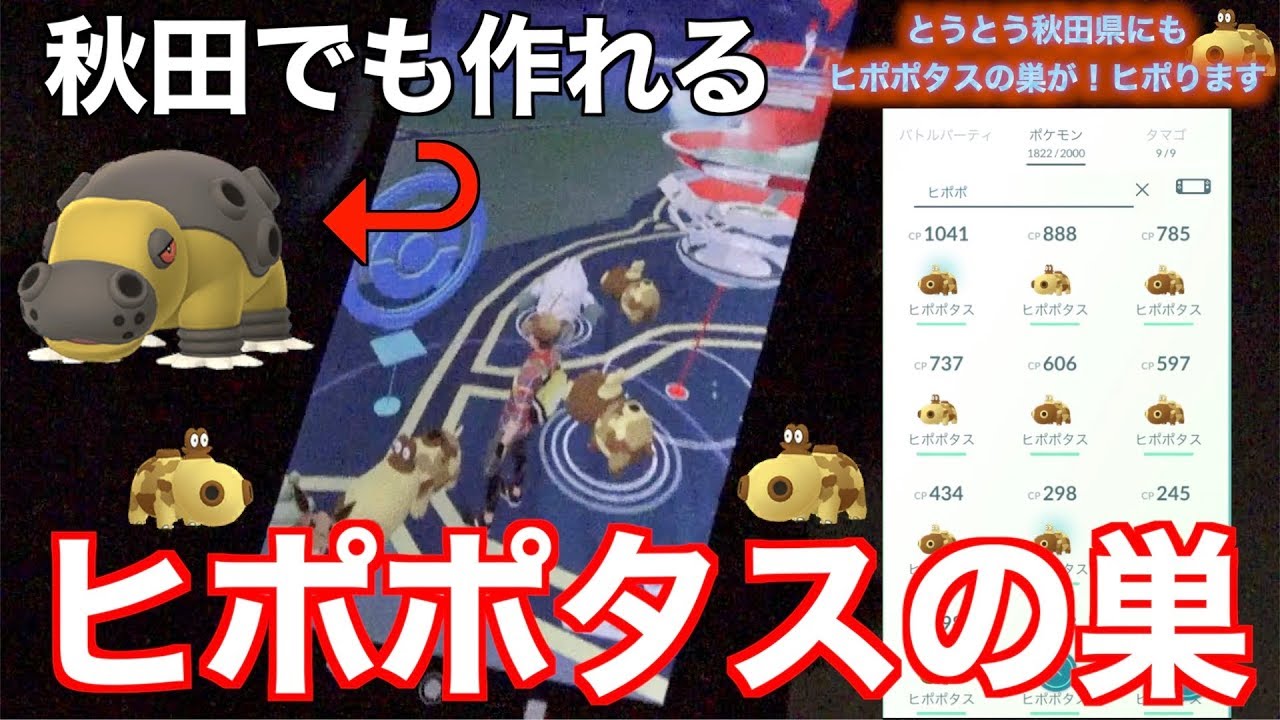秋田待望のヒポポタスの巣！悲願のカバルドン雄&雌爆誕！！【ポケモンGO】