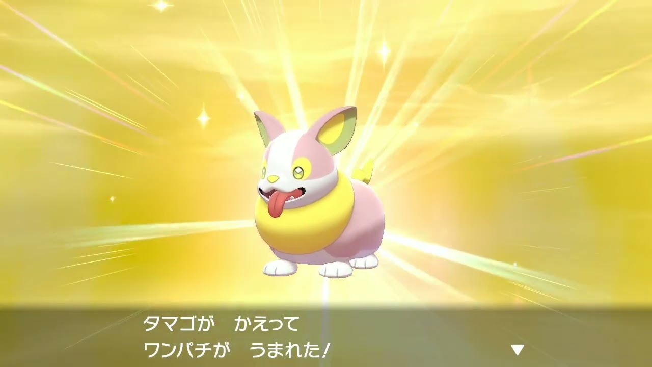 色違いワンパチ進化【剣盾Version】ワンパチ、パルスワン