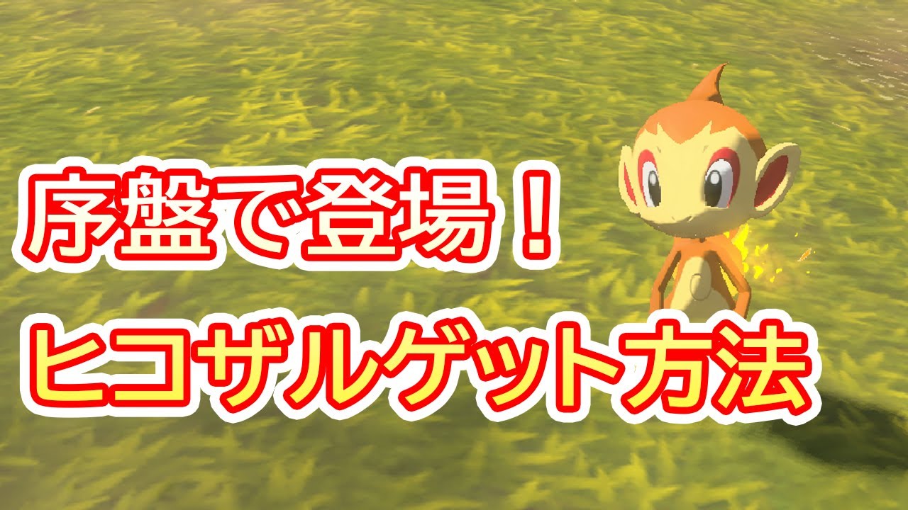 レアポケモン『ヒコザル』入手方法！【ポケモンアルセウス・攻略動画・Pokémon LEGENDS アルセウス・任天堂スイッチ・黒曜の原野・シシの高台・出現場所・ゴウカザル】