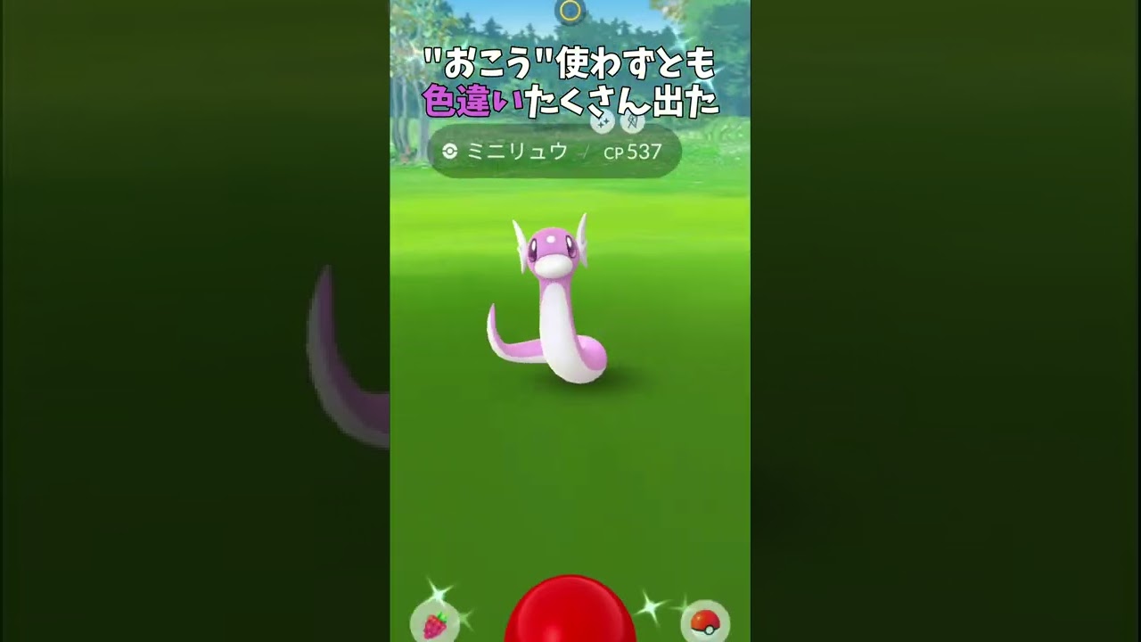 【ポケモンGO】ミニリュウ・コミュニティデイ復刻版・お疲れ様でしたの記録・楽曲は説明にて #short