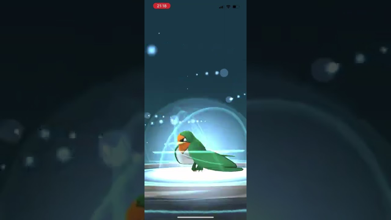 色違いスバメをオオスバメに進化！/SHINY Taillow evoluved Swellow！#shorts