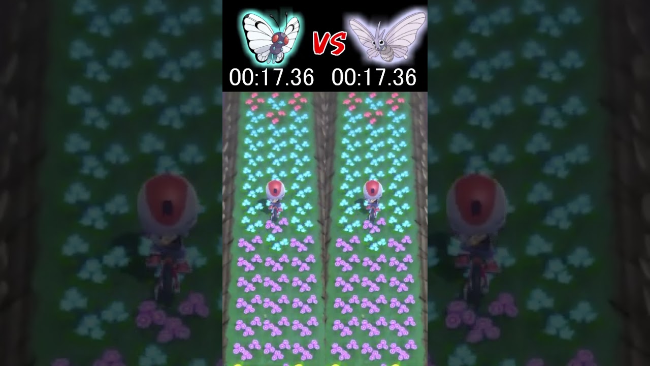 バタフリー VS モルフォン 速いのはどっち？【ポケモンBDSP】#shorts