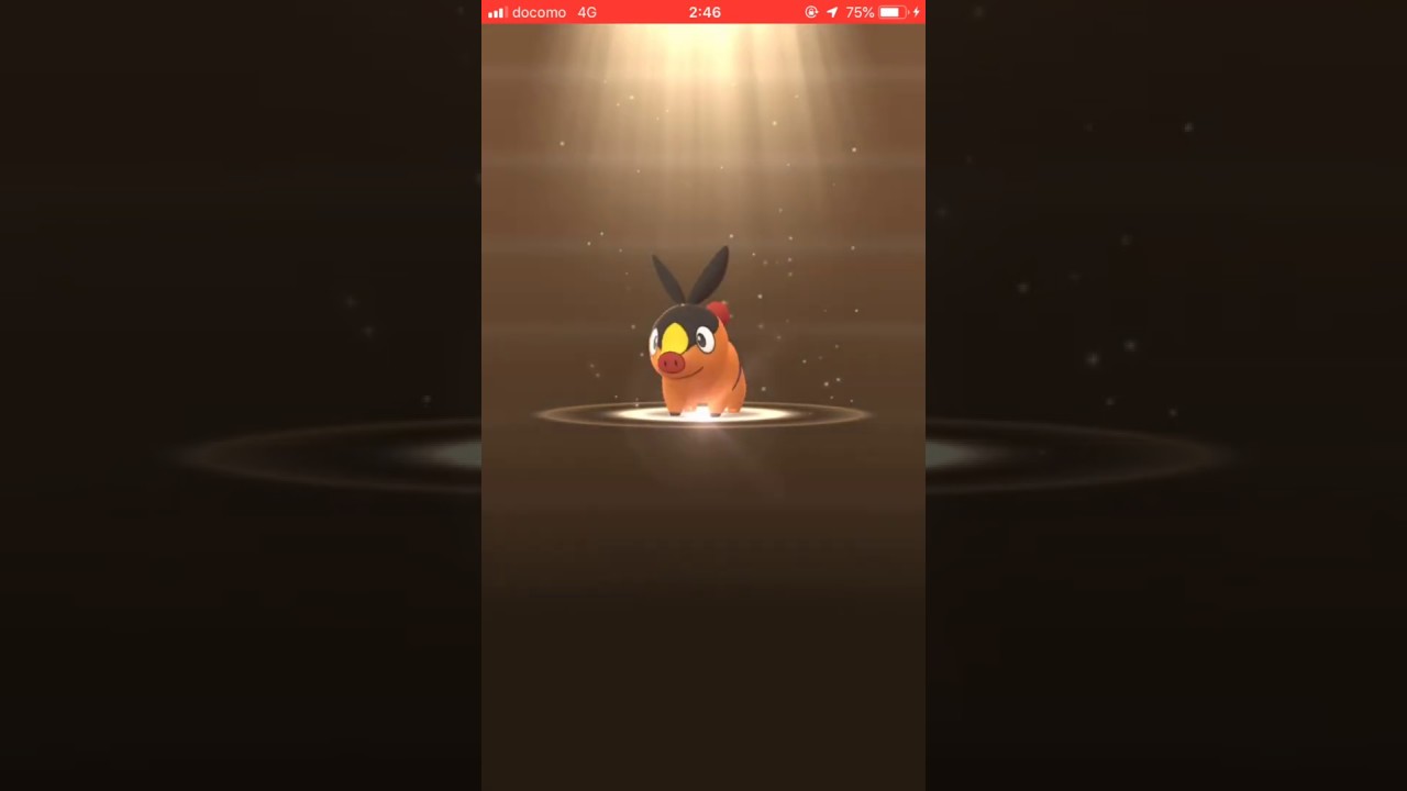 【ポケモンGO】5kmたまご ポカブ イッシュ地方498