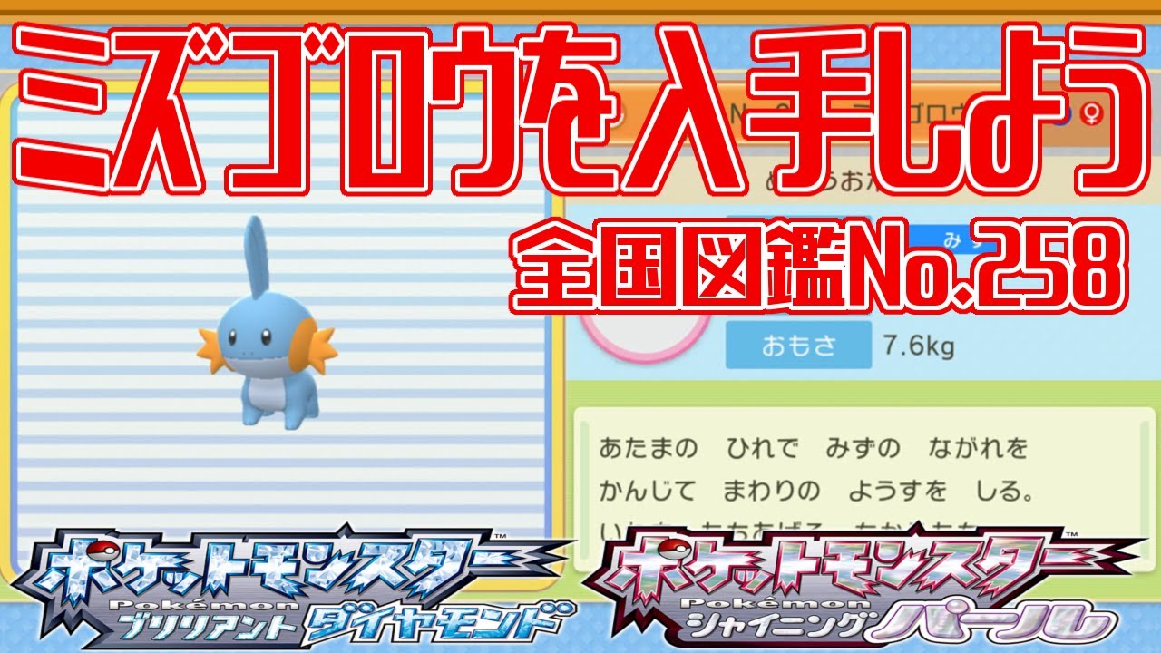 【ポケモンダイパリメイク】ミズゴロウを入手しよう 全国図鑑No.258【ポケットモンスター ブリリアントダイヤモンド・シャイニングパール】Pocket Monsters