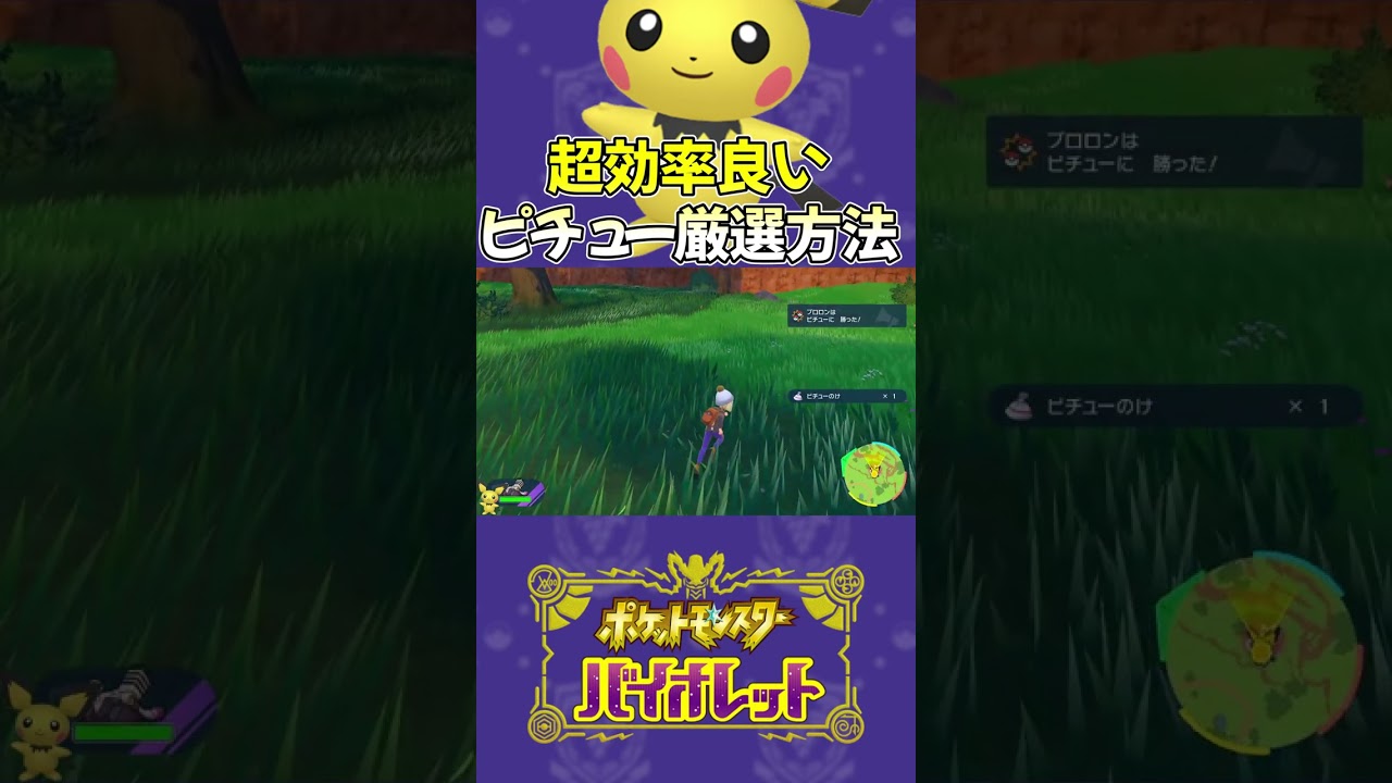 【ネタ】これが1番効率が良いピチュー厳選です！【ポケモンsv】#shorts
