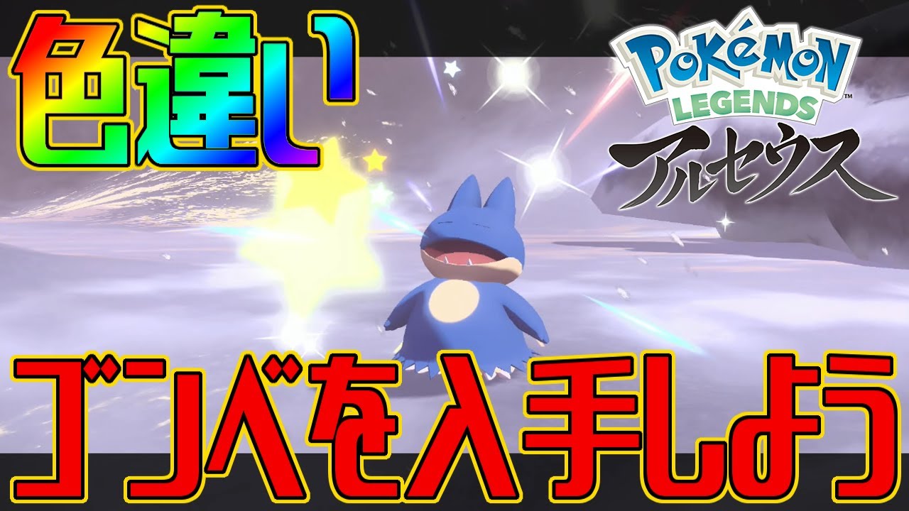 【ポケモンアルセウス】色違いゴンベを入手しよう【Pokémon LEGENDS アルセウス】