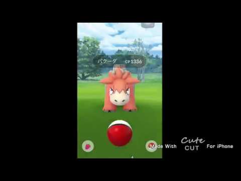 【ポケモンGO】新ポケモン！野生のバクーダ捕まえてみた！