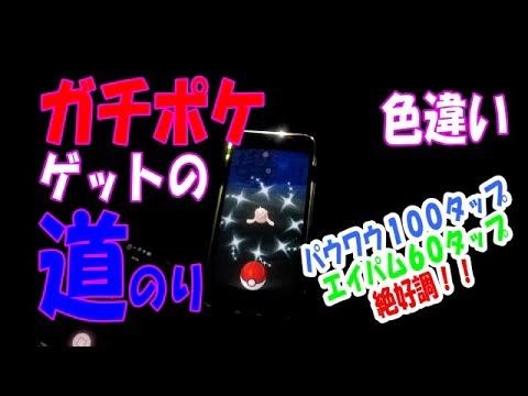 【ポケモンGO】パウワウ・エイパム色違いゲットへの道のり！