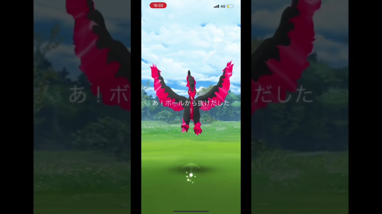 【神回】1日でガラルファイヤーとガラルサンダーに遭遇‼️