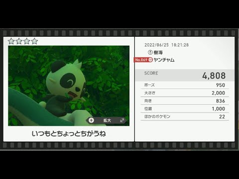 Newポケモンスナップ　★4ヤンチャム【4808】