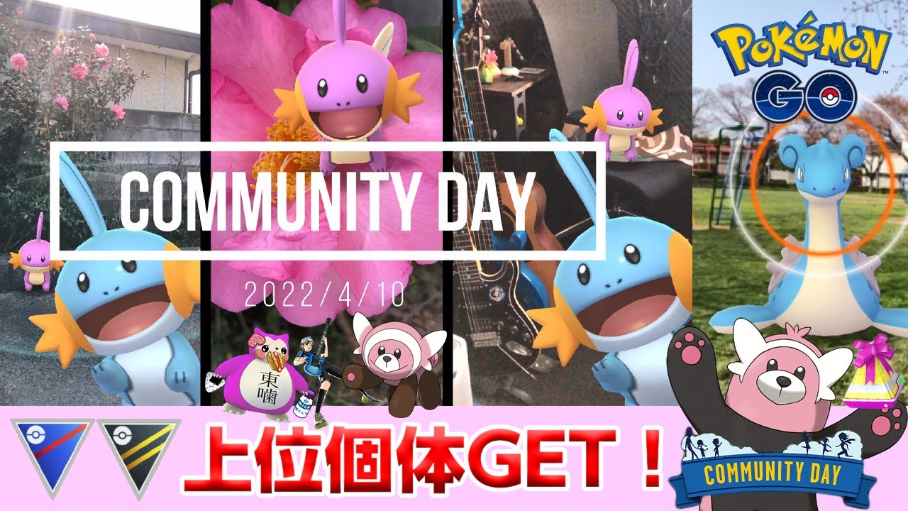 【復刻ミズゴロウ コミュデイ】色違い・GBL向け個体？ヌイコグマ・キテルグマ