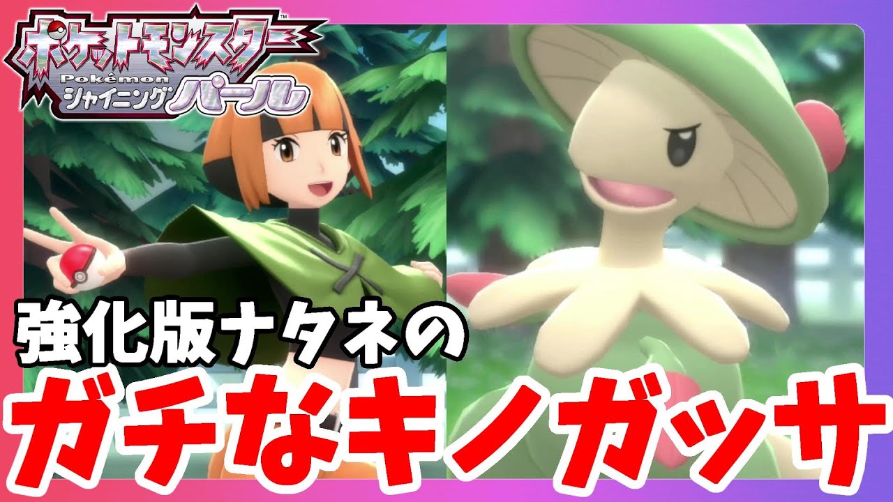 強化版ジムリーダーナタネのキノガッサがガチすぎてマネしたい！【ポケモンダイパリメイク】シャイニングパール