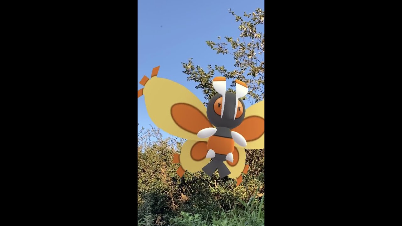 ミノムッチ｜Burmy｜ガーメイル｜Mothim｜重陽の節句（ちょうようのせっく）｜ノコンギク｜AR動画｜PoKeMoN GO AR｜#Shorts