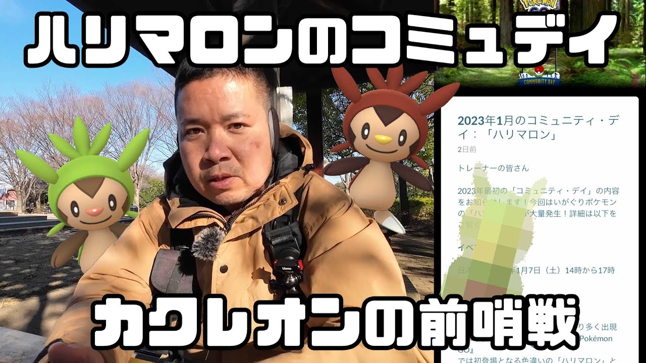 【ポケモンGO】カクレオンの前哨戦！ハリマロンのコミュニティデイ