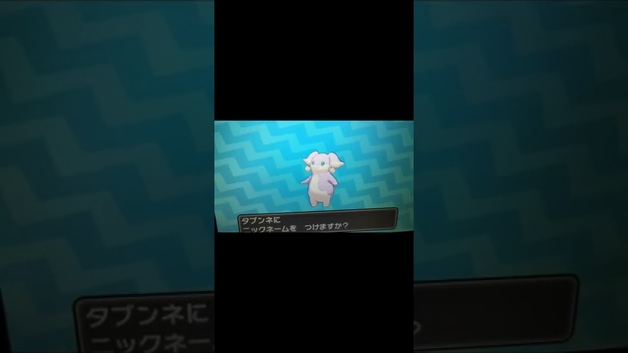 【USUM】タブンネの色違いが出ました✨ 経験値目当てに大量に狩られてて可哀想…😰 #shorts #USUM #タブンネ狩り #タブンネ #タブンネが倒せない