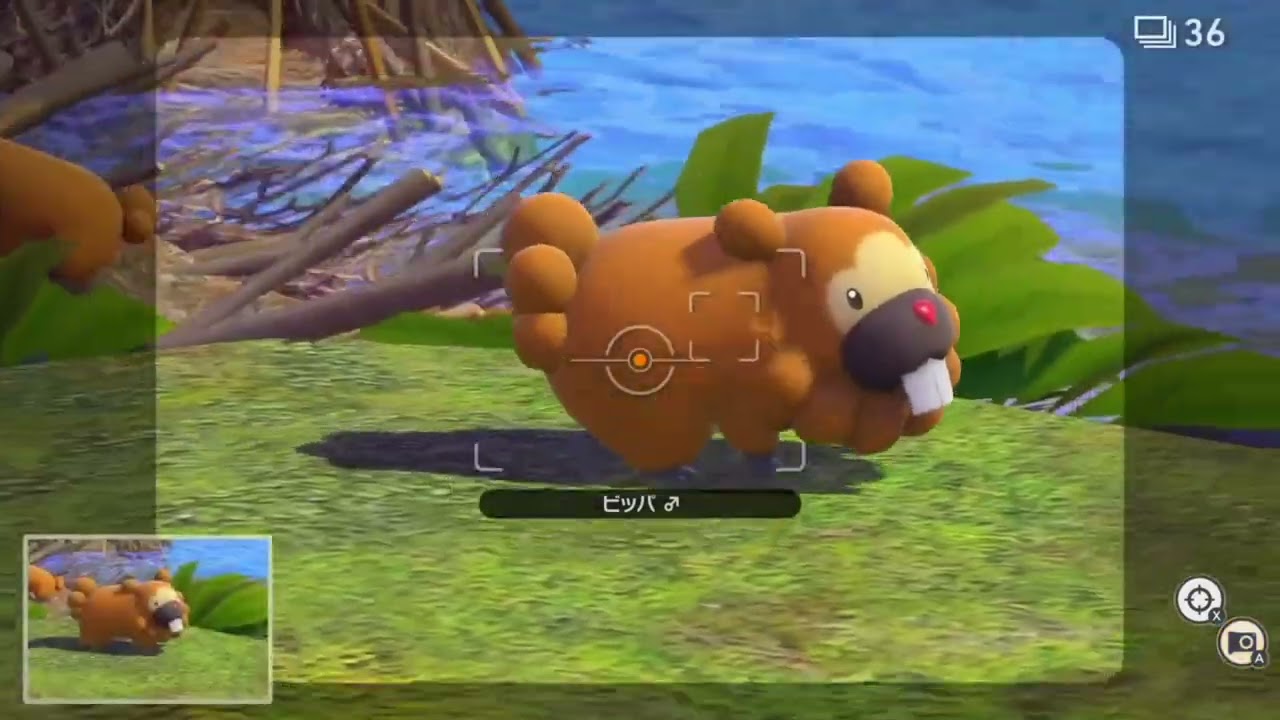 えおえおビッパ集【#MSSP切り抜き】【NEWポケモンスナップ】