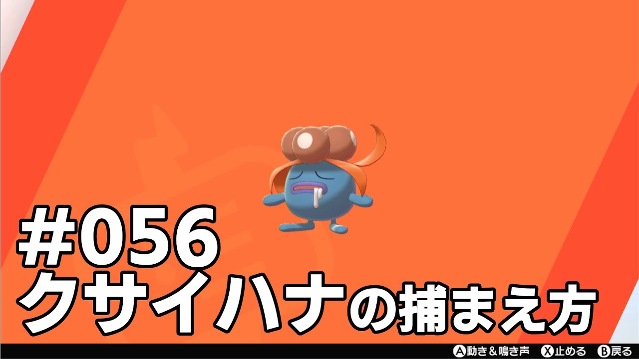 クサイハナを探している方に見てほしい動画