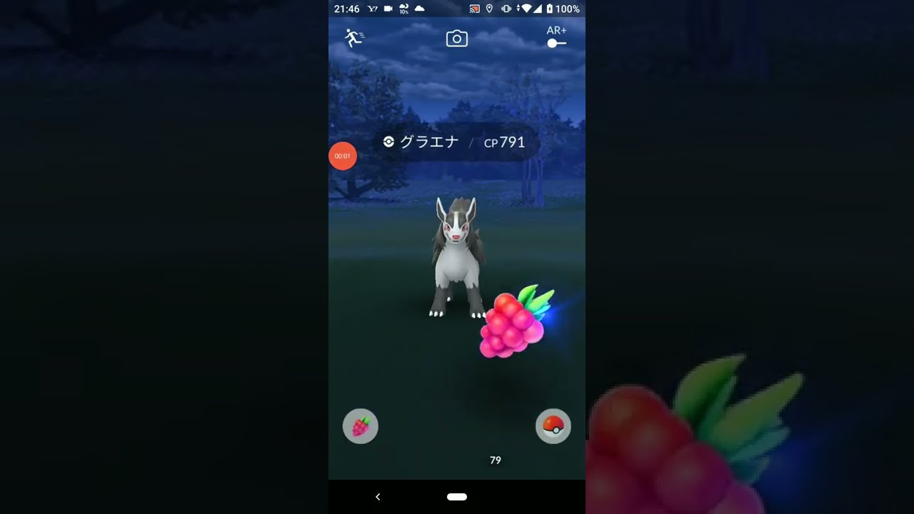 グラエナ 　ポケモンＧＯ