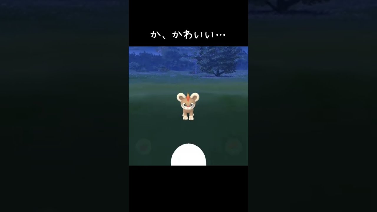 昨日のシシコのスポットライトアワーでは光らなかったけど、レジロックのレイドアワー無視してシシコ探してたら色違いゲット😆色白でカワイすぎる🥰 #ポケモンGO