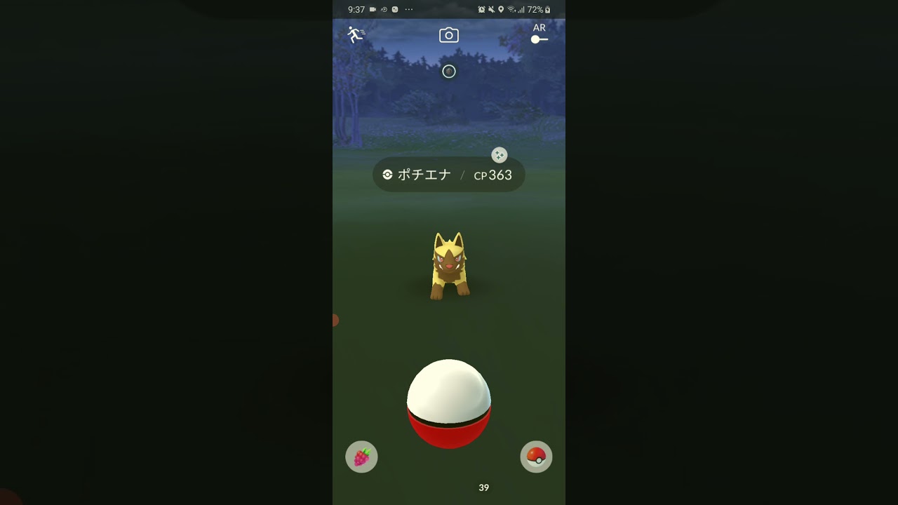 ポチエナ色違い