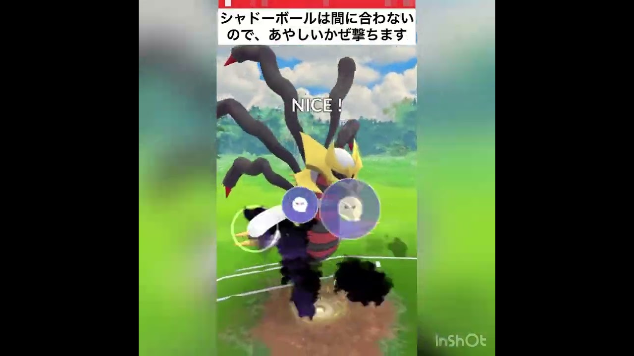 今回の主役はメタグロス‼️