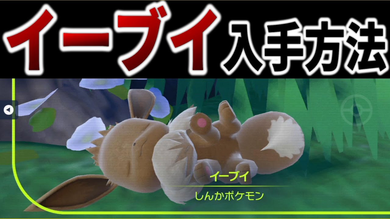 【ポケモンSV】イーブイの入手方法解説【ポケットモンスター スカーレット/バイオレット】