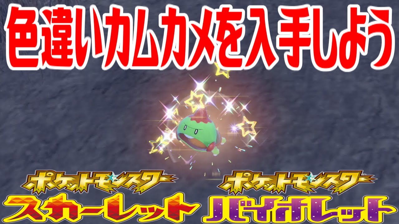 【ポケモンSV】色違いカムカメを入手しよう【ポケットモンスター スカーレット・バイオレット】Pocket Monsters