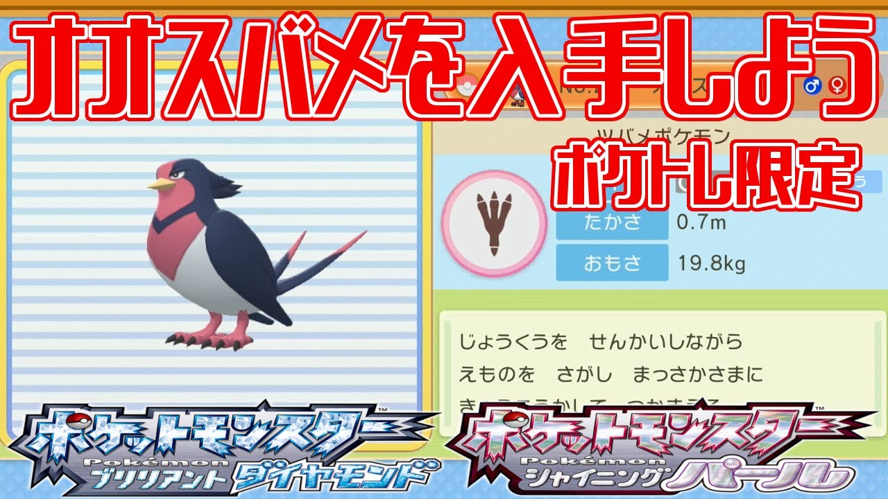 【ポケモンダイパリメイク】オオスバメを入手しよう ポケトレ限定 213番道路【ポケットモンスター ブリリアントダイヤモンド・シャイニングパール】Pocket Monsters