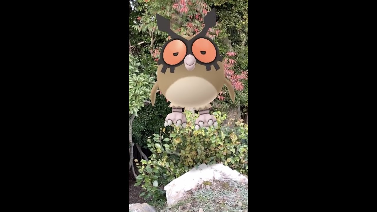 ホーホー｜Hoothoot｜ヨルノズク｜Noctowl【ポケモンGO】｜AR動画｜PoKeMoN GO AR｜#Shorts
