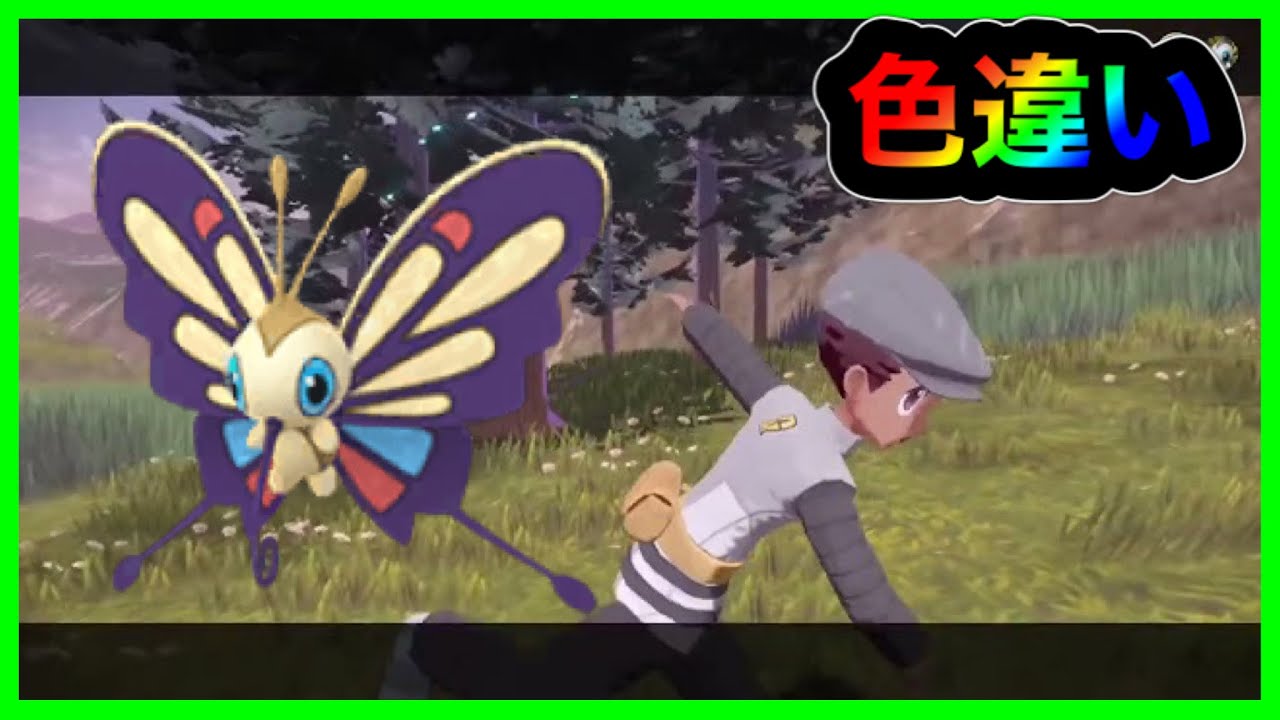 【色違い】金色のアゲハントははしゃぎすぎてて荒ぶってしまう【ポケモンレジェンズアルセウス】【まりお】