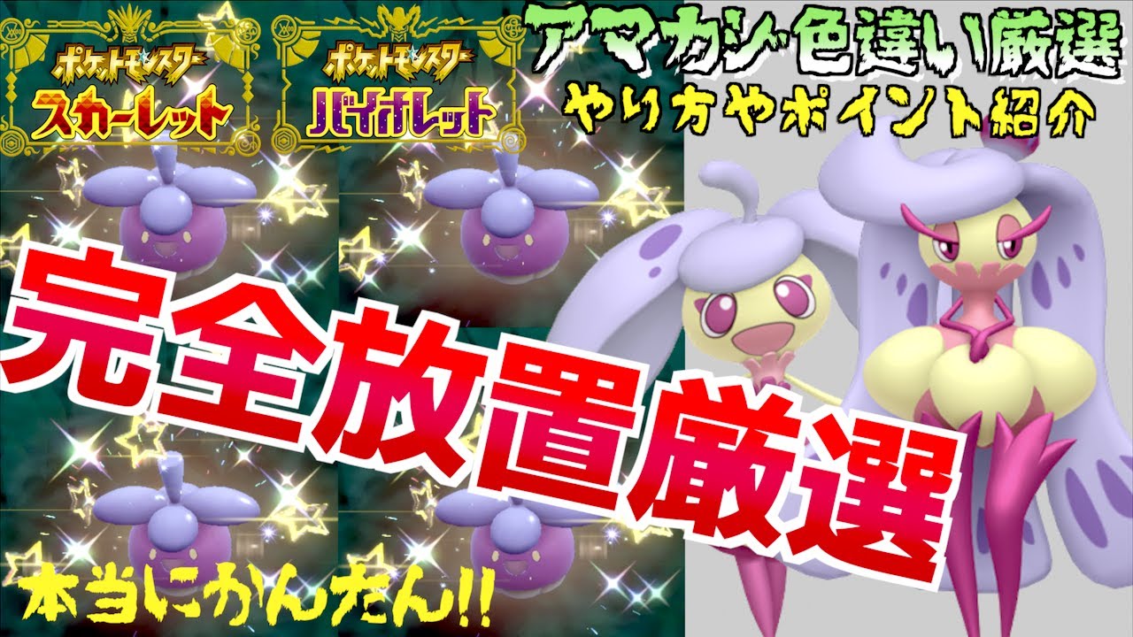 超簡単驚愕の方法/完全放置でアマカジの色違いがゲットできる時がきた！！コントローラー置いて色違いが出るまで待つ、結果アママイコとアマージョの色違いもゲットできっぞ【色違い】【 ポケモンSV 】