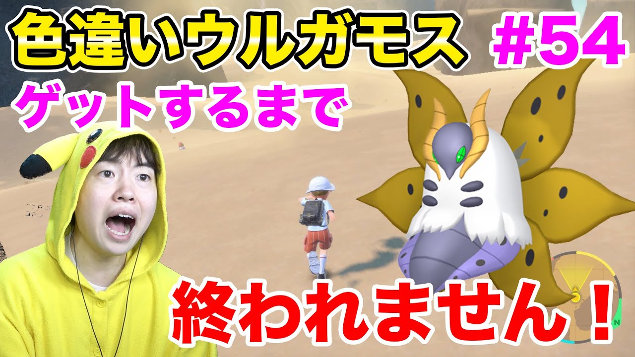 色違いウルガモスをゲットするまで終われません！#54【ポケモンSV】