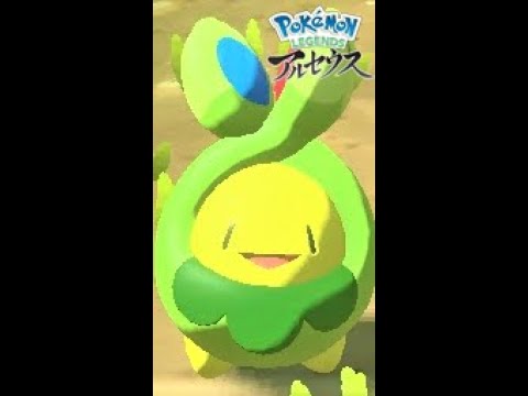 【疲れた人向け】6匹のスボミーを見て癒されよう【ポケモンレジェンズアルセウス】#Shorts