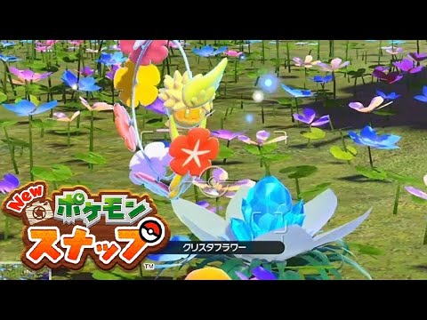【Newポケモンスナップ】こわがらないで、花畑に元気を リクエスト キュワワー・フラージェス【ポケスナ/Switch】