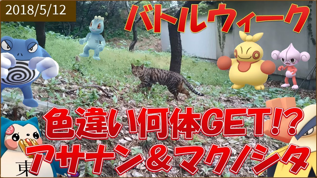 【ポケモンGO】色違いアサナン＆マクノシタ捕獲できた？何体？ダイジェスト
