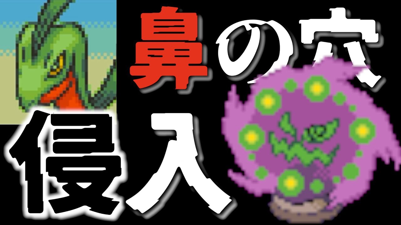 【ちょっと嫌だ】ミカルゲがジュプトルの鼻の中に入ったんだけどw【ポケダン 空の探検隊】Part22