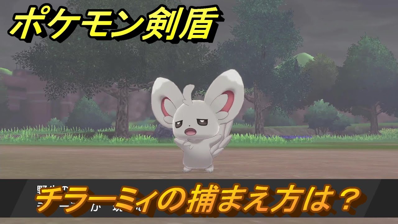 ポケモン剣盾　チラーミィの出現場所は？オススメの場所は？天気は？ポケモン図鑑コンプへの道！　最新版【ポケモンソード・シールド】