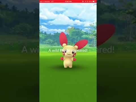ポケモンGO！プラスル色違いやっと出た。100体以上は狩ったかな