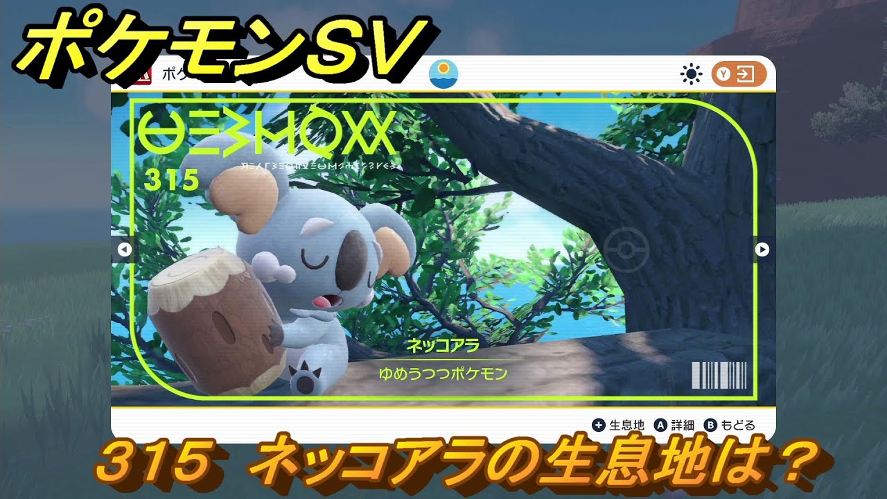 ポケモンＳＶ　ネッコアラの生息地は？図鑑No.３１５　おすすめ場所紹介！ポケモン図鑑を完成させよう！　【ポケモンバイオレット・スカーレット】
