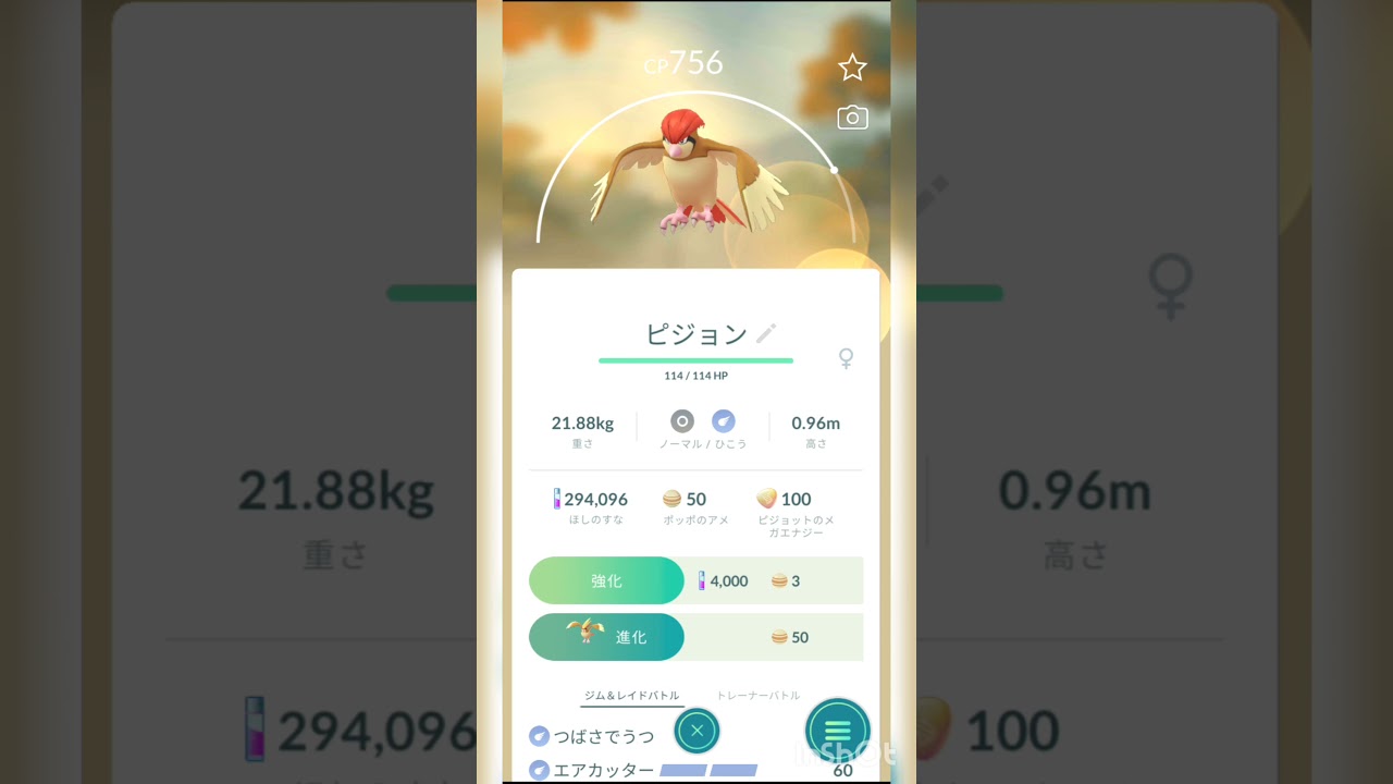 【ポケモンGO】ピジョン進化