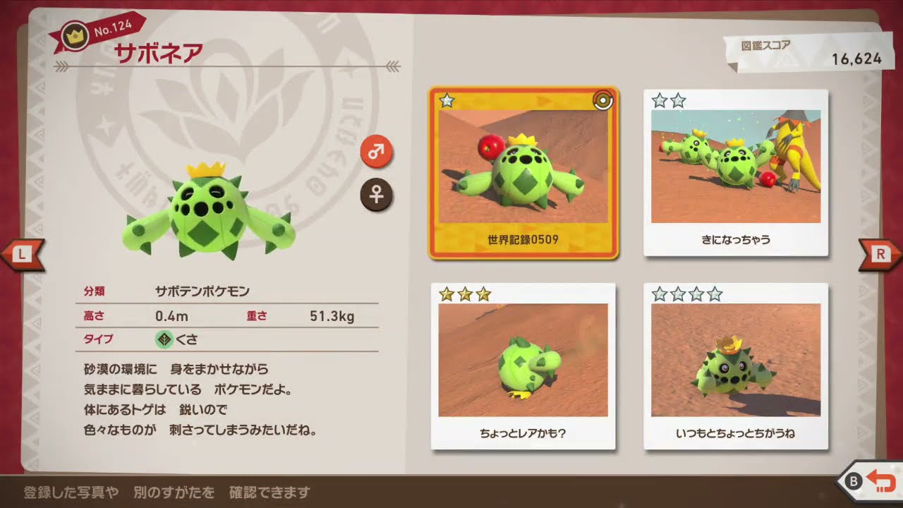 サボネア ★1 世界記録【New ポケモンスナップ】Cacnea ★1 WR【New Pokémon Snap】