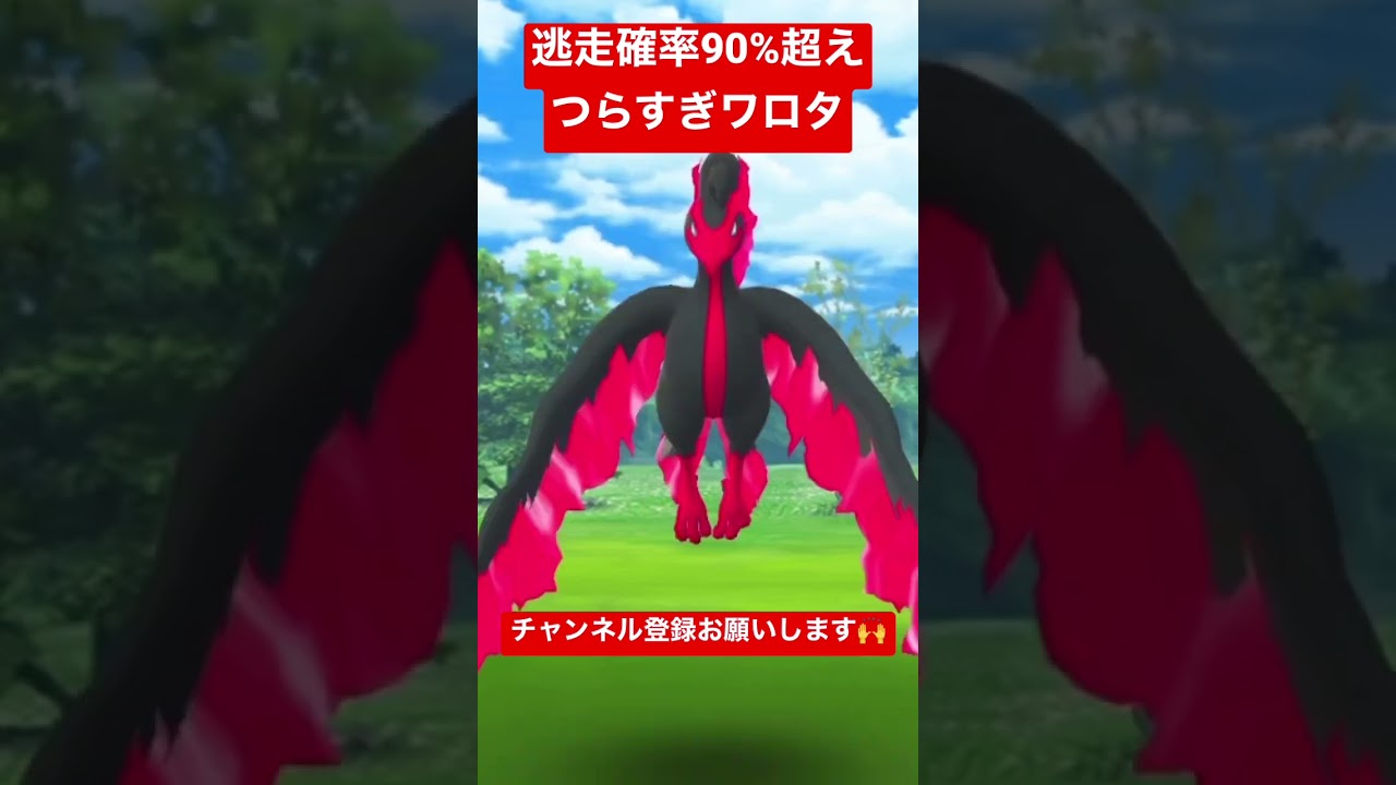 ガラルサンダー・ガラルファイヤー逃げられシーン詰め合わせ #pokémongo #ガラル三鳥 #おさんぽおこう