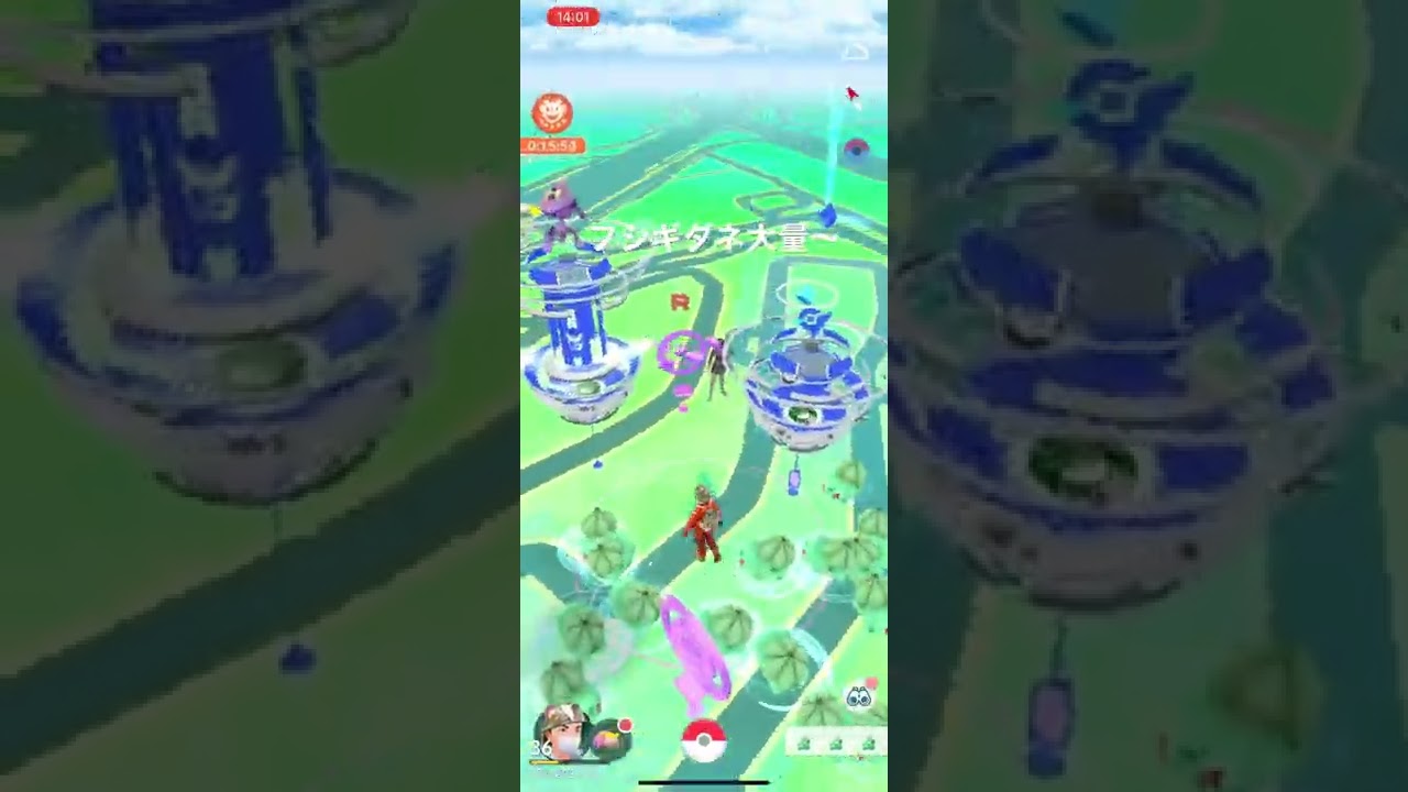 【ポケGO】フシギダネ大量〜