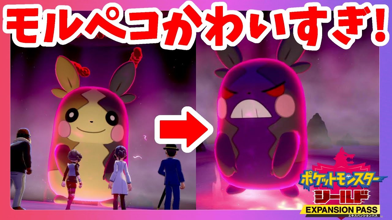 【ポケモンソードシールド】モルペコかわいすぎて困惑！イベント夢特性を狙った結果！鎧の孤島【エキスパンションパス第1弾】