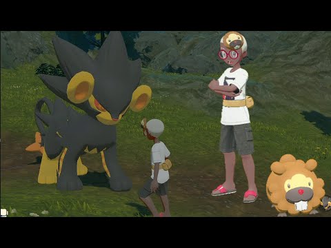 色違いオヤブンルクシオを進化させてみた＃10【ビッパとPokémon LEGENDS アルセウス】