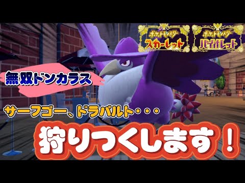 【ポケモンSV】衝撃!!　サーフゴー、ドラパルトも瞬殺!　ドンカラスの恐ろしい強さをご覧ください。