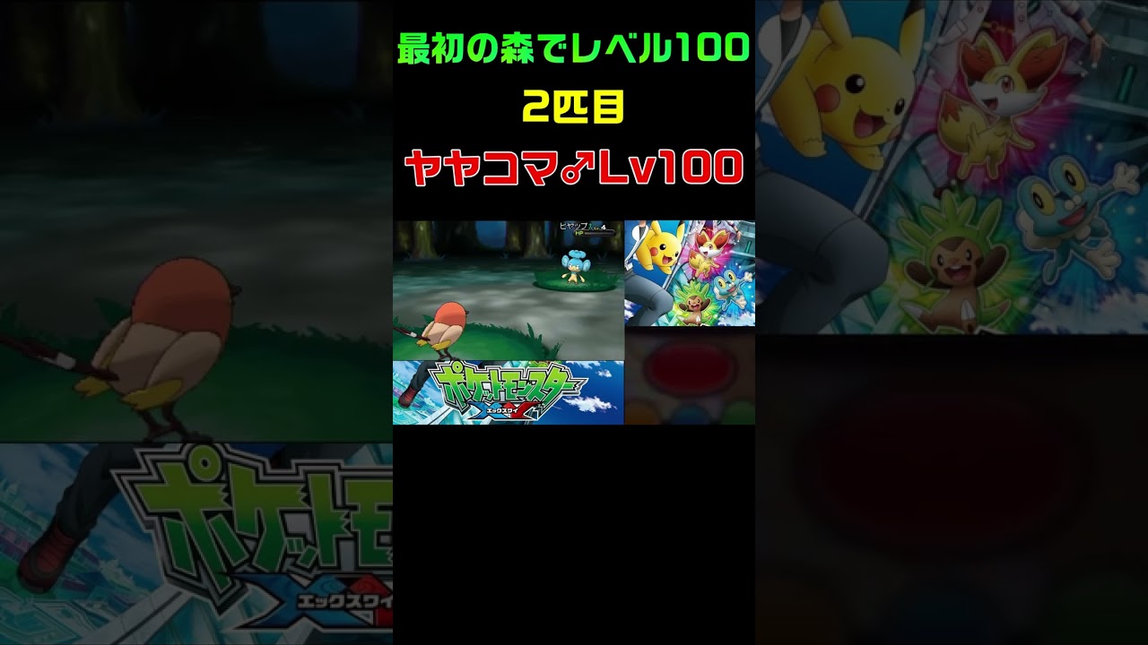 最初の森でレベル100・２匹目(ヤヤコマ♂)【ポケモンY】#Shorts