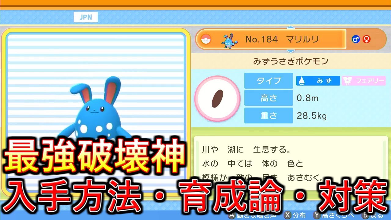 【ポケモンBDSP】超火力先制技で全てを破壊！マリルリの入手方法、育成論、対策を解説！【ダイパリメイク】