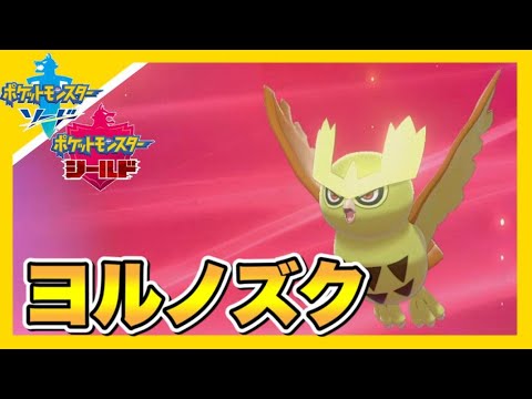 色違いヨルノズクが最高すぎる件　【ポケモン剣盾】